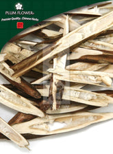 紫苏梗,未硫化的紫苏茎